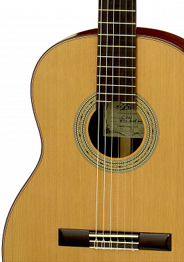 Классическая гитара ARIA C201