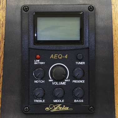 Электроакустика ARIA FET-F2 STBR