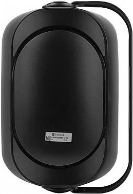 Настенная акустическая система INTREND ITSPK-650WWT