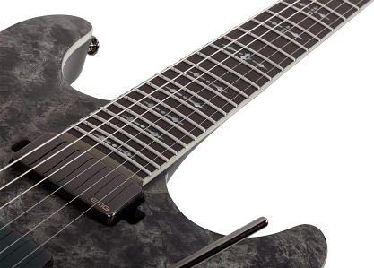 Электрогитара SCHECTER ERNIE C C-1 SATIN BLACK REIGN
