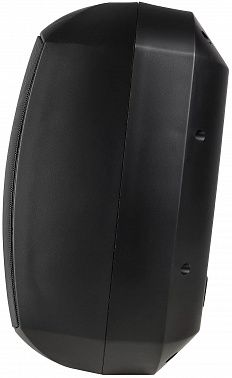 Настенная акустическая система INTREND ITSPK-MSK8-B