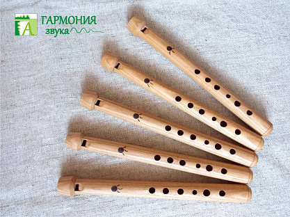 КОМПЛЕКТ ФЛЕЙТА НАРОДНАЯ СОПЕЛЬ + ДИСК + УЧЕБНИК