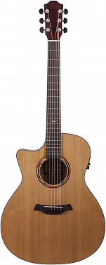 Электроакустика BATON ROUGE AR21C/GACE-LH