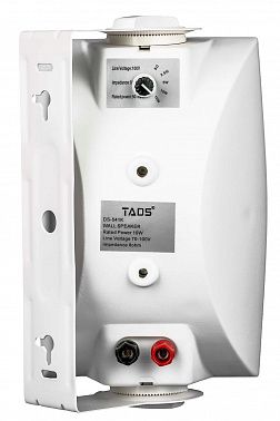 Громкоговоритель настенный TADS DS-541K