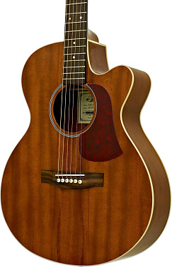 Электроакустика ARIA FET-R1 MH