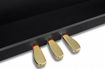 Цифровое пианино CASIO GP-310 BK