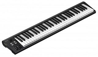 MIDI клавиатура Icon Artist 61