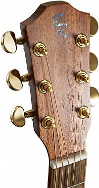 Электроакустика BATON ROUGE TLM/ACEC Flamed Maple