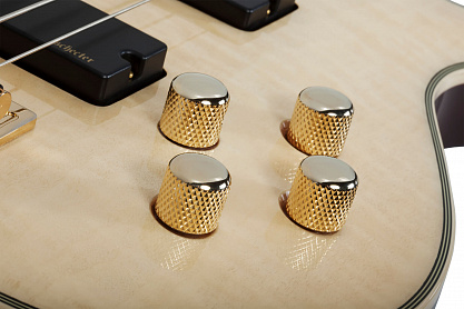 Бас-гитара SCHECTER OMEN EXTREME-5 GNAT