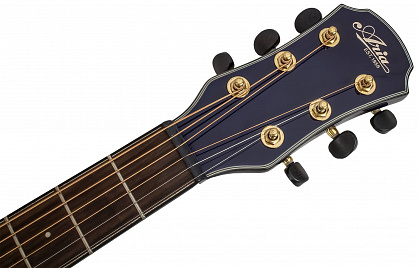 АКУСТИЧЕСКАЯ ГИТАРА ARIA TG-1 SBL