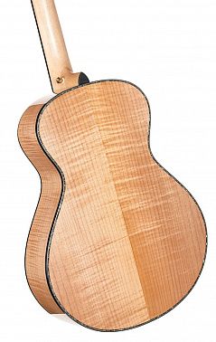 Электроакустика Cort Gold-Passion-WCASE-NAT