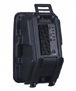 АКУСТИЧЕСКАЯ СИСТЕМА FORCE P-156AMP