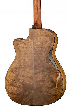 Электроакустика Cort Gold-Edge-WCASE-NAT