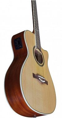 Электроакустика EKO NXT A100CWE