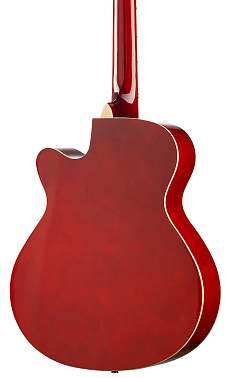 Акустическая гитара HOMAGE LF-401C-R