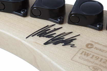 Электрогитара SCHECTER MILES DIMITRI BAKER SVSS CRBS