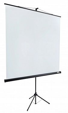 Экран Lumien Eco View LEV-100102