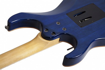 Электрогитара SCHECTER BANSHEE-6 FR EXTREME OBB