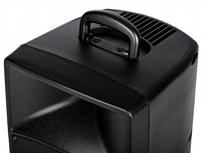 Акустическая система LEEM PR-8