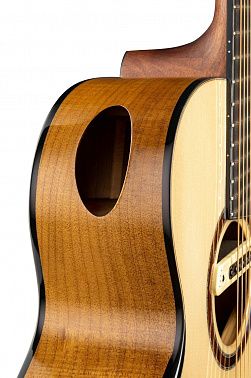 Электроакустика CORT Cut-Craft-Limited-WCASE-N