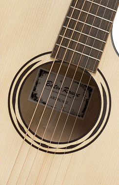 Электроакустика BATON ROUGE AR29S/ACE