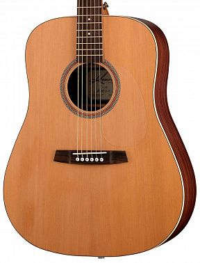 Акустическая гитара Kremona F10C