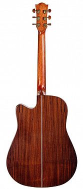 Акустическая гитара Omni D-890S