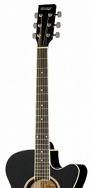 Акустическая гитара HOMAGE LF-401C-B