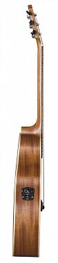 Электроакустика BATON ROUGE AR81C/ACEC-N