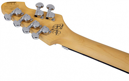 Электрогитара SCHECTER DJ ASHBA SWHT