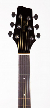Электроакустика STAGG SW201CW/39 BK
