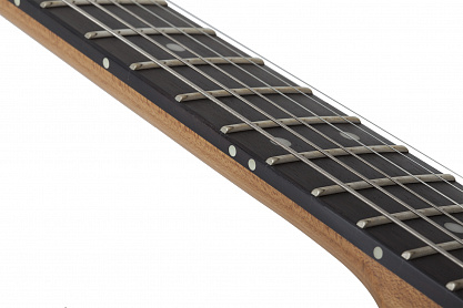 Электрогитара SCHECTER PT PRO TPB