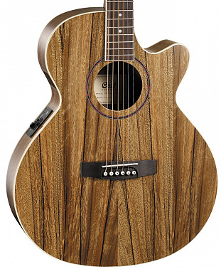 Электроакустика CORT SFX DAO NAT