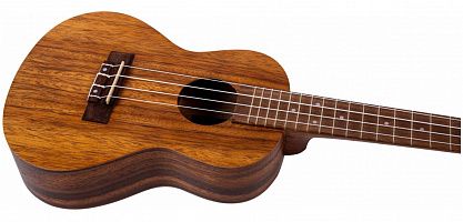 Укулеле FLIGHT NUS200 NA