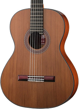 Классическая гитара MARTINEZ MC-48C