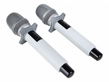 Радиосистема Axelvox DX800SW
