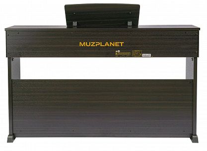Цифровое пианино MUZPLANET YDP-145R