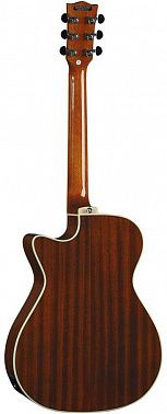 Электроакустика EKO NXT A100CWE