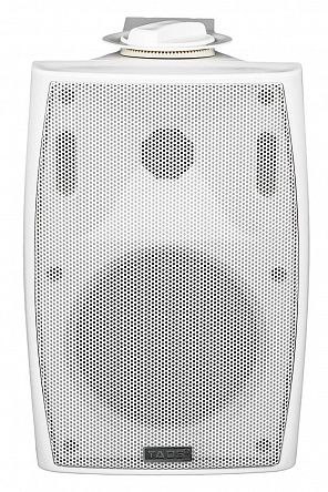 Громкоговоритель настенный TADS DS-541K