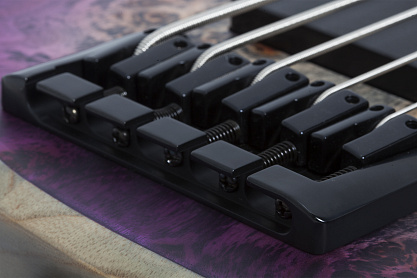Бас-гитара SCHECTER RIOT-5 ARB