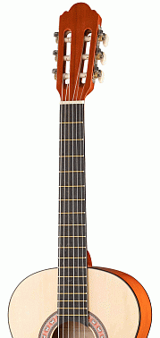 Классическая гитара HOMAGE LC-3600