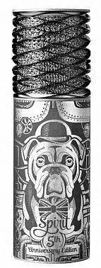 Микрофон ASTON MICROPHONES SPIRIT 5th ANNIVERSARY COLLECTORS EDITION