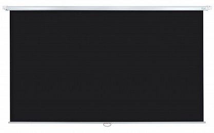 Экран Lumien Eco Picture LEP-100117