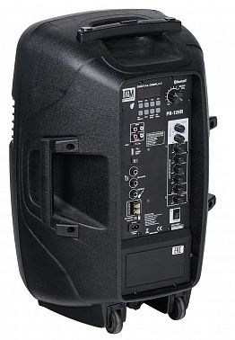 Акустическая система Leem PR-12HR