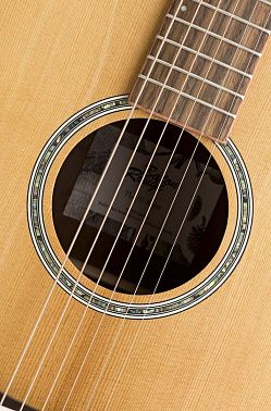 Акустическая гитара BATON ROUGE TLA/D ALDER