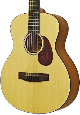 Акустическая гитара ARIA-151 MTN