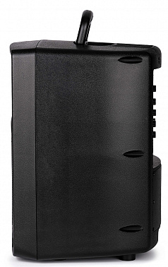 Акустическая система LEEM PR-8