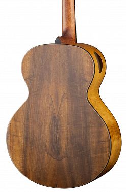 Электроакустика CORT Cut-Craft-Limited-WCASE-N