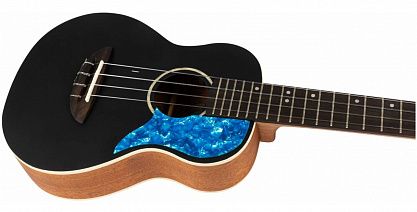 Укулеле FLIGHT IRIS Concert BK