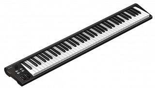 MIDI клавиатура Icon Artist 88